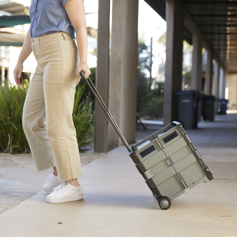 Blue and Grey Canvas Rolling Cart with Organizer Bag