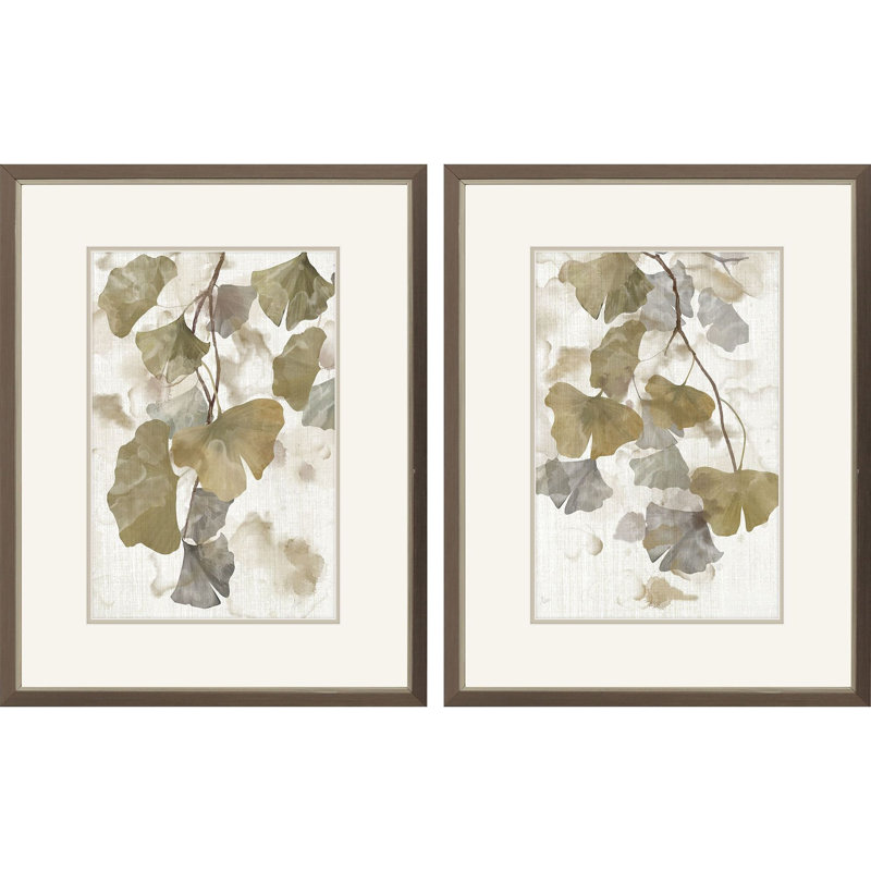 Gingko Accent S/2