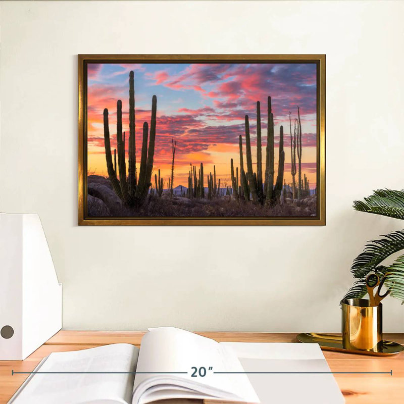 Lever de soleil de Baja California, Cadre flottant doré, 13 po x 9 po