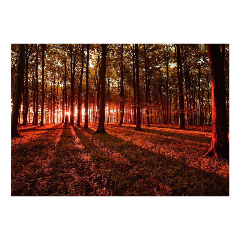 Murale Fineas Autumn Morning, L 68 po x l 96 po