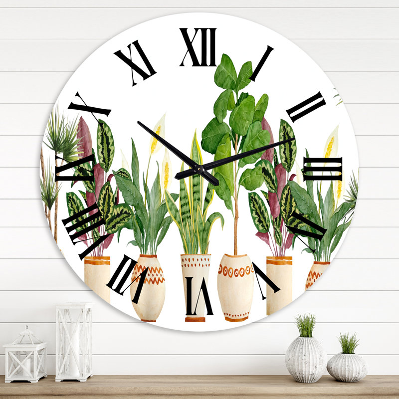 Trio de plantes d'intérieur Sanseviera Snake Plant - horloge murale de ferme, Surdimensionné