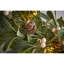 274.32cm Lighted Garland with Lights