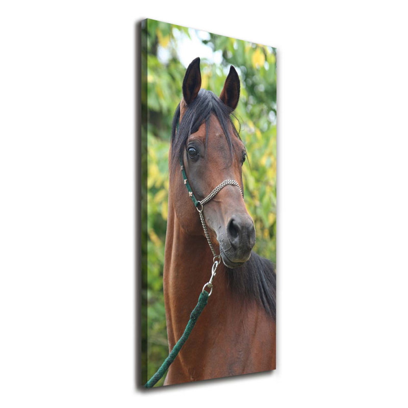 Portrait Of A Horse - Wrapped Canvas Print