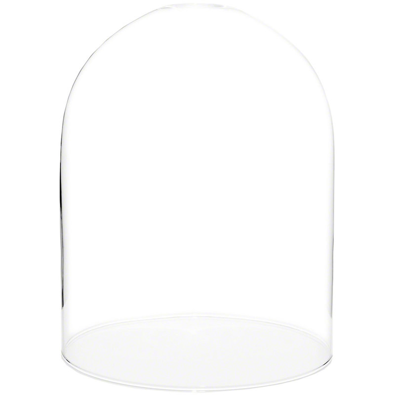 Vucciria 11.75" x 15" Glass Display Dome Cloche, No Base