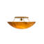 1 12 - Light Flush Mount