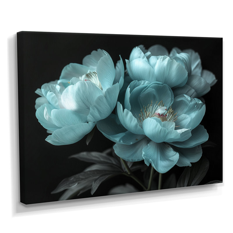 Impression d'art mural Runkle - pivoines, Toile tendue, H 24 po x l 32 po