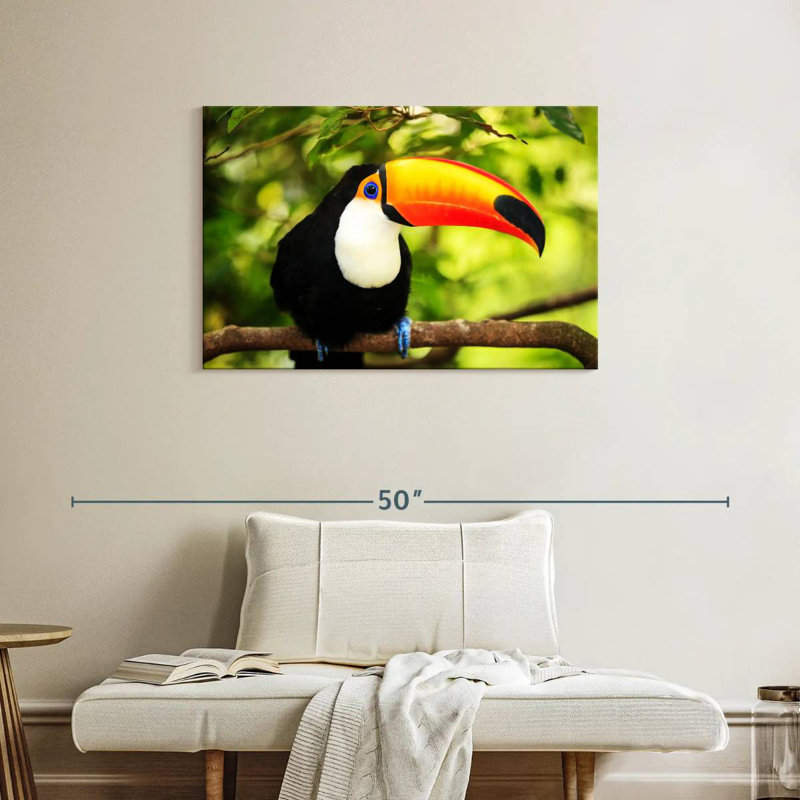 Brampt Toco Toucan, 24" H x 36" W