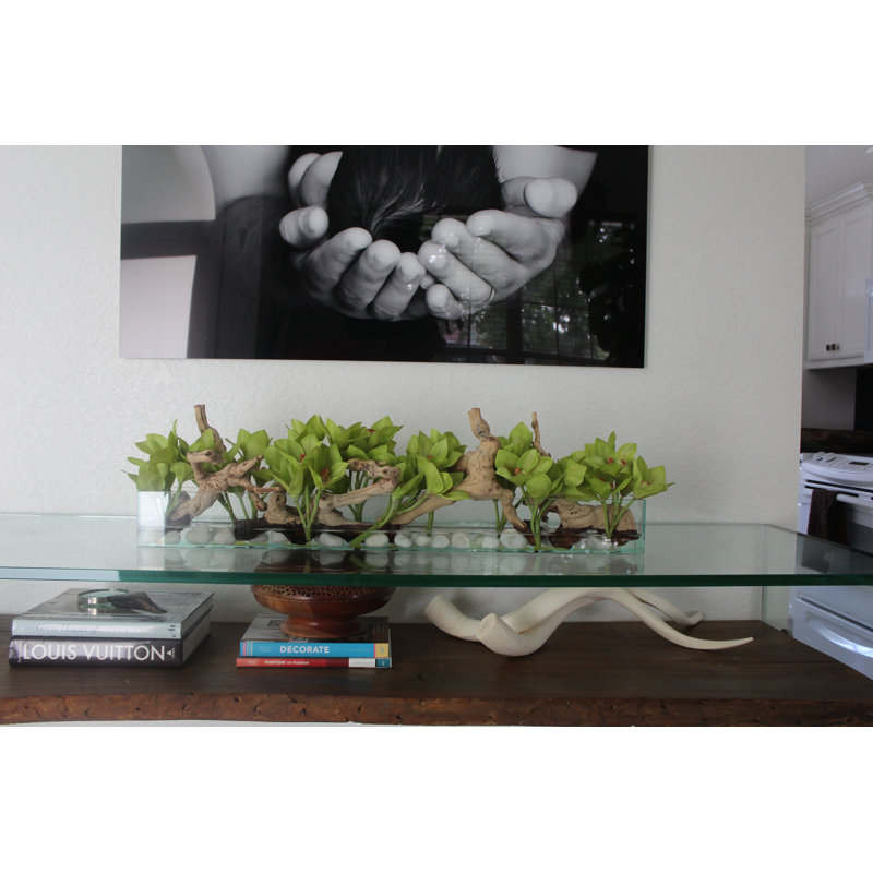 Driftwood Cymbidium Orchids Centerpiece in Glass Planter, 8" H x 48" W x 6" D, Green