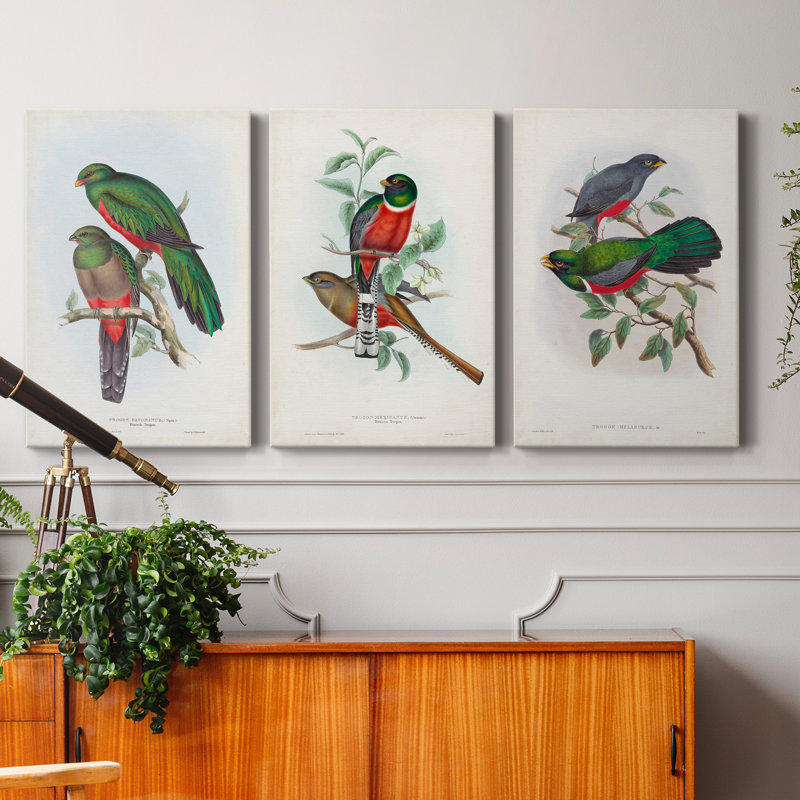Gould Tropical Birds I - Ensemble de 3 toiles tendues, H 60 po x l 120 po x P 3 po