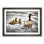 Ducklings with Mother Duck - Picture Frame Graphic Art Print-55734056-55734057