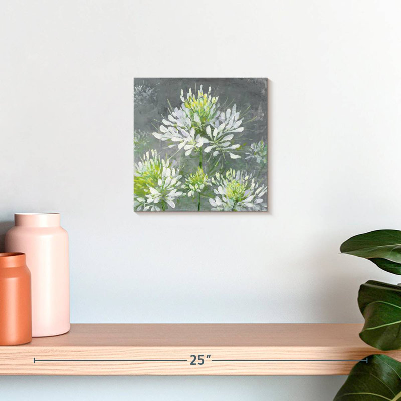 Harnek Farmhouse Cleome I, H 10 po x l 10 po