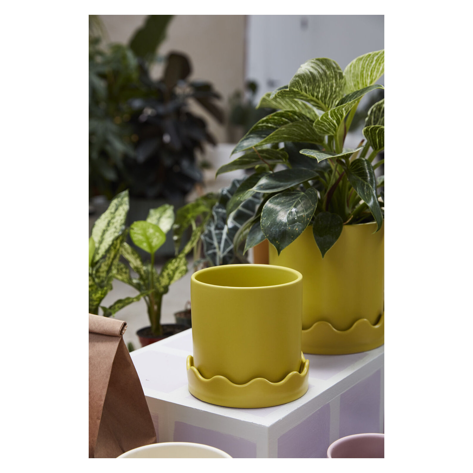Winterview Pot with Saucer 7.5"x 7.25", Yellow, 5.75" H x 6" W x 6" D