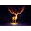 Firewalker by Jonas Jödicke - Wrapped Canvas Print-1674266889
