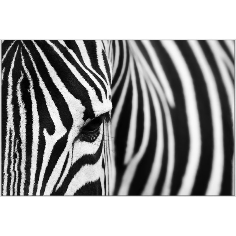 Seeing Stripes Print by Lillian August