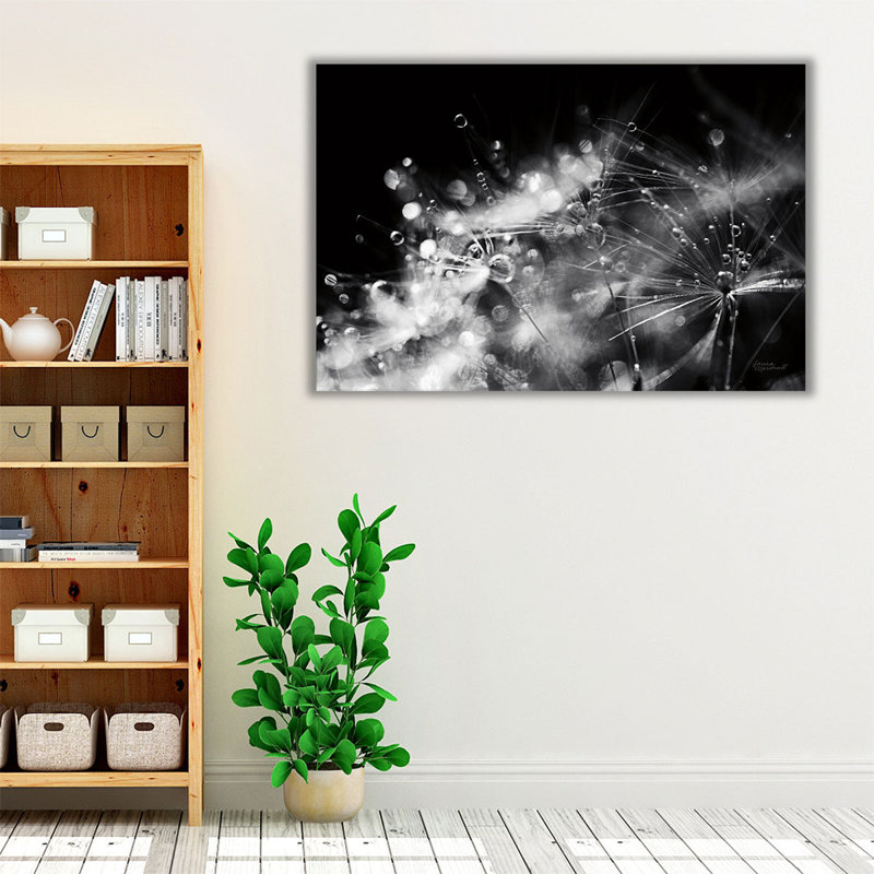 «Dandelion Abstract II Black and White», reproduction d'art sur toile, H 12 po x l 18 po