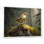 Oiseau moineau sur un rocher de la forêt I - oiseau, art mural-1339015618-1339015624-1339015625