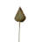 Enprise Preserved Palm Stem Bundle