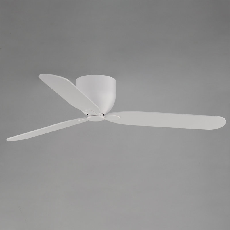 Ventilateur de plafond d'intérieur Budapest Lowell