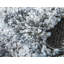 Tapis gris à rayures Mitzy-1148723191