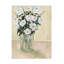 Roses pâles sur toile-1795623301