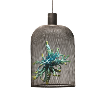 Curio 1 - Light Pendant