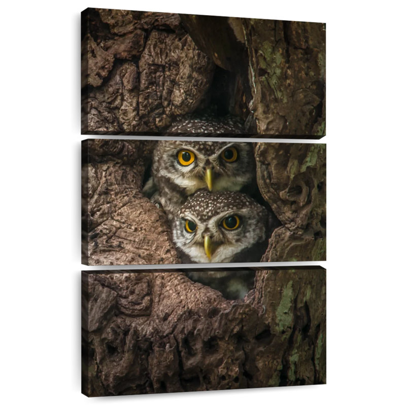 Brampt Owl Twins, 32" H x 20" W