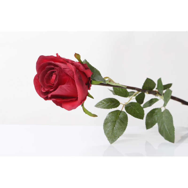 Large bud Rose, Red