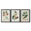 Turpin Tropical Botanicals IV - Toile tendue avec châssis sur mesure - 3 pièces-655088477-655088479
