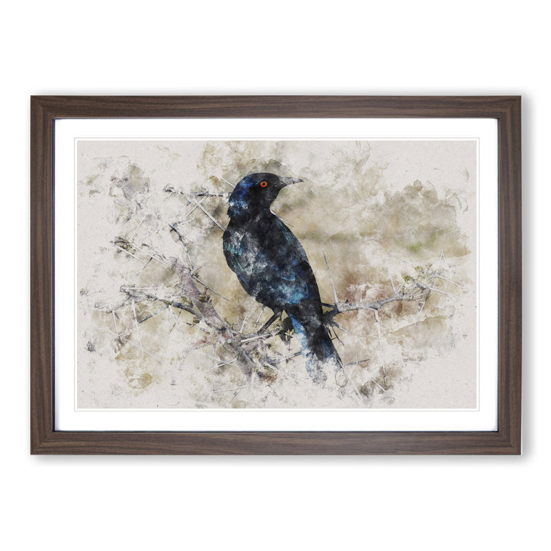 Starling Bird Watercolour - Picture Frame Graphic Art, 27cm H x 36cm W x 2cm D, Walnut