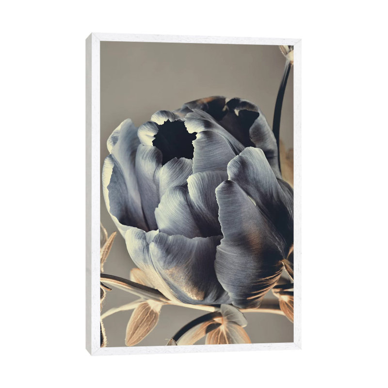 Baroque III 1 Piece Painting on Canvas, 101.6cm H x 66.04cm W x 3.81cm D, White Framed
