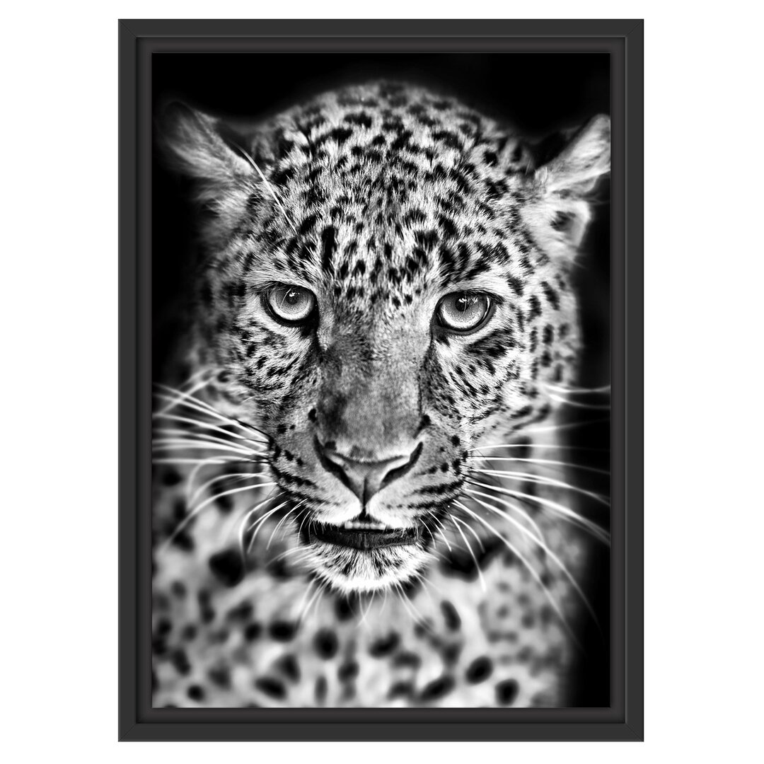 Gerahmtes Wandbild Stolzer Leopard