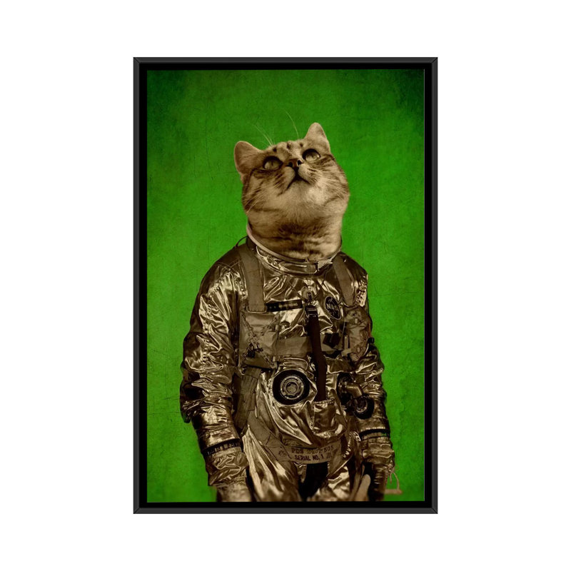 « up is my home », reproduction d’art sur toile tendue, H 26 po x l 18 po x P 1,5 po, Toile avec cadre noir, Pas de tapis