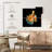 Brampt Yellow Fighter Fish Grandiose