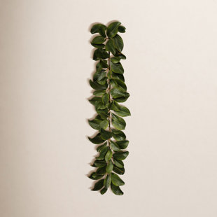 Magnolia 60'' in. Garland