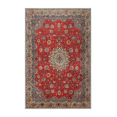 Cassee Oriental Indoor Rug