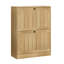 12 Pair Shoe Storage Cabinet