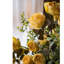 Tige de roses-34563203