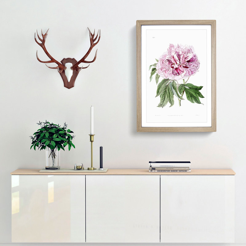Pink Tree Peony Flower - Picture Frame Painting Print, 48cm H x 36cm W x 2cm D, Oak Framed