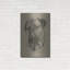 "Bull Mastiff" par Barbara Keith-1311502557