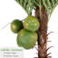 Cocotier artificiel avec 3 noix de coco (7 pi / 8 pi), plante tropicale artificielle avec projecteur DEL optionnel (bicolore / multicolore) pour un décor intérieur / extérieur-388357017
