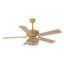 Ventilateur de plafond 52 po à cage cage perlée avec ensemble d'éclairage et télécommande, pales à double face, tiges verticales 4 po / 10 po
