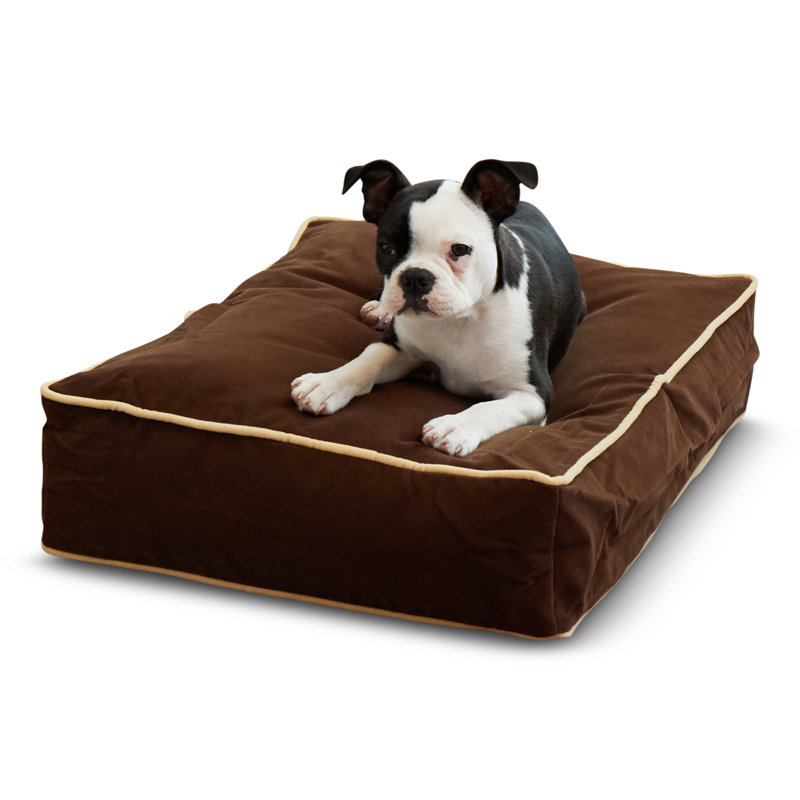 Lit pour chien Olivarez Classic, Très petit (L 24 po x l 18 po x H 5 po), Cacao