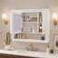 Armoire de salle de bain murale avec miroir et rangement