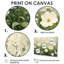Imca White Wildflower In Spring Bloom II - Art mural de fleurs sauvages pour le salon-1534111453-1534111428-1534111455