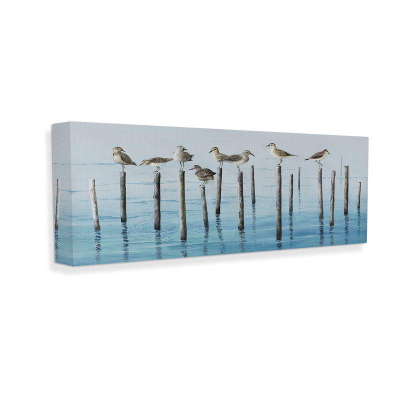 Bc-528_CN "Perched Sea Birds" par Max Maxx sur toile, H 13 po x l 30 po