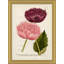 Flora In Pink 2 by Soicher Marin Archives