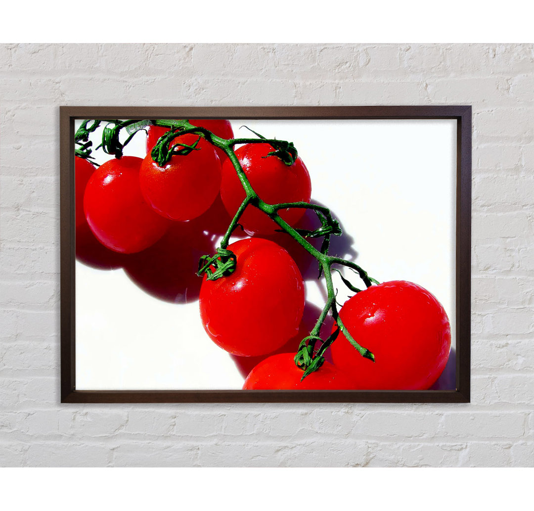 Red Cherry Tomato Vine - Einzelner Bilderrahmen Kunstdrucke auf Leinwand