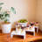 Eretta Cake Stand