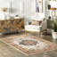 Machine Washable Traditional Vintage Area Rug in Beige-1461140837