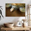 Superbe tortue-107878633